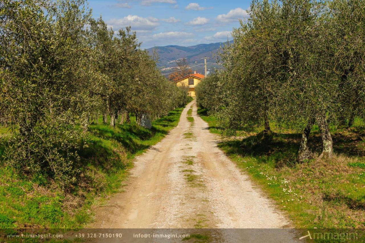 Bioagriturismo Poderaccio Incisa in Val d'Arno المظهر الخارجي الصورة