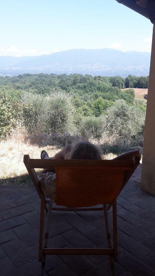 Bioagriturismo Poderaccio Incisa in Val d'Arno المظهر الخارجي الصورة