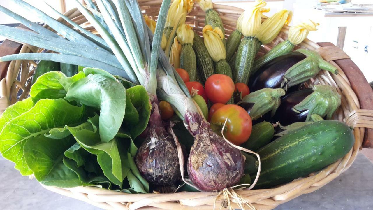 Bioagriturismo Poderaccio Incisa in Val d'Arno المظهر الخارجي الصورة