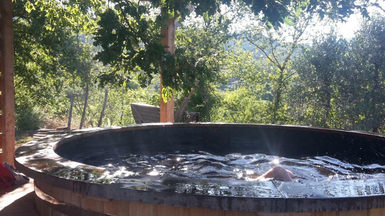 Bioagriturismo Poderaccio Incisa in Val d'Arno المظهر الخارجي الصورة