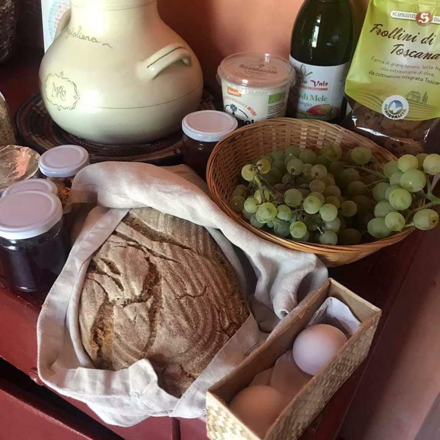 Bioagriturismo Poderaccio Incisa in Val d'Arno المظهر الخارجي الصورة